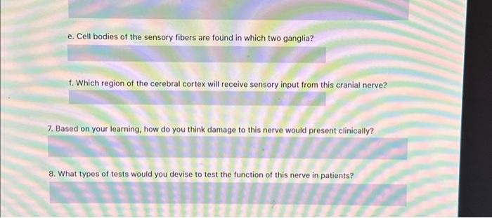 Solved e. Cell bodies of the sensory fibers are found in | Chegg.com