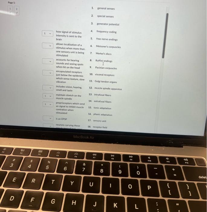 Solved Pret 1rsee 1: 1323 which sense texture, slow 11. | Chegg.com