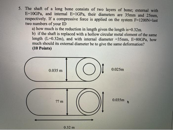 Solved 5. The shaft of a long bone consists of two layers of | Chegg.com