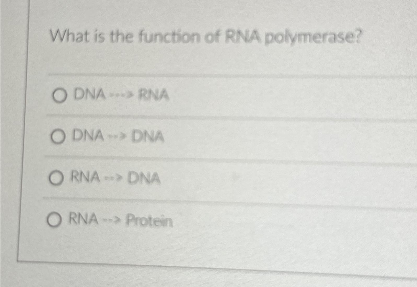 Solved What is the function of RNA polymerase?DNA dots