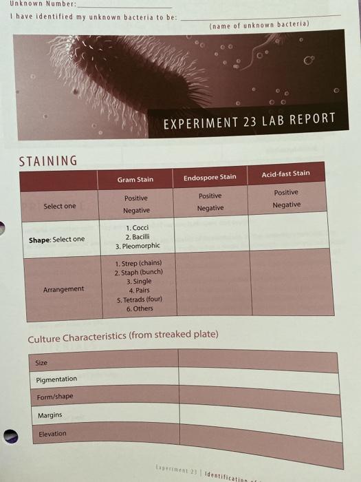 Unknown Number: I Have Identified My Unknown Bacteria | Chegg.com