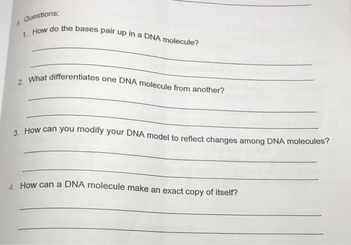 1 How Do The Bases Pair Up In A Dna Molecule 2 Chegg Com