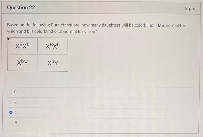 Solved Question 22 2 pts Based on the following Punnett | Chegg.com
