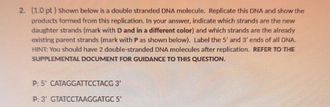 Solved (1.0 ﻿pt) ﻿Shown below is a double stranded DNA | Chegg.com
