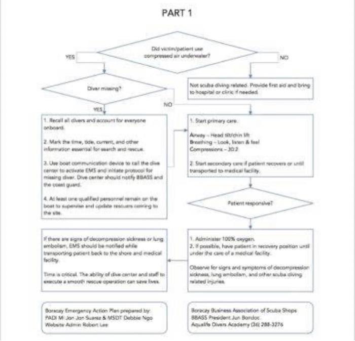 Solved I need help writing a PADI rescue diver emergency