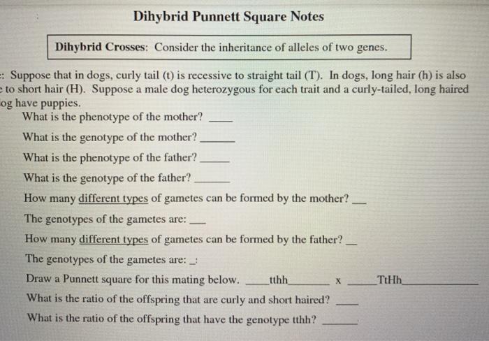 Dihybrid Punnett Square Notes Dihybrid Crosses Chegg Com