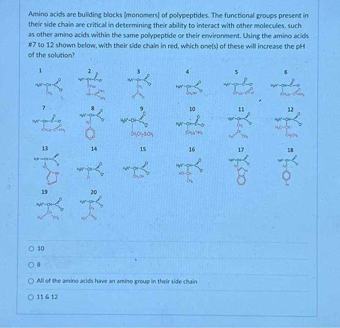 Solved Amino acids are building blocks [monomers] of