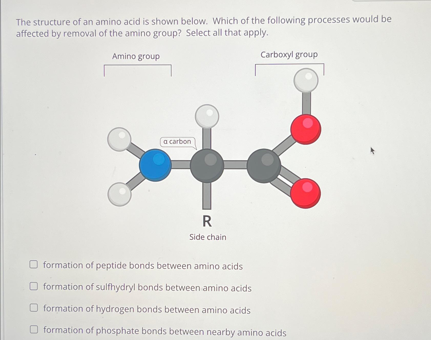 Solved The structure of an amino acid is shown below. Which | Chegg.com