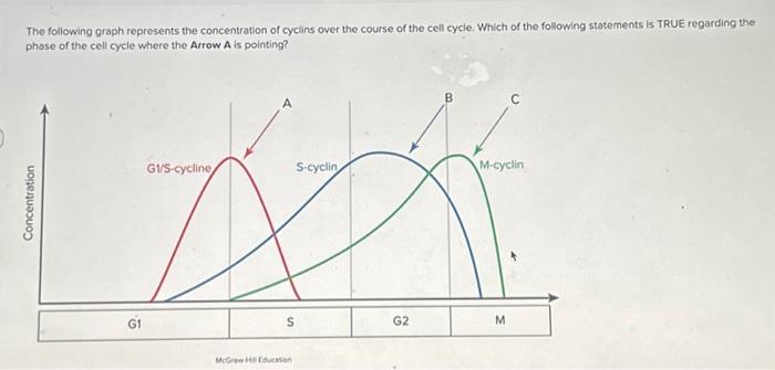 The following graph represents the concentration of | Chegg.com