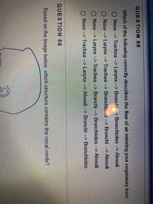 Solved QUESTION 53 Which of the following statement best | Chegg.com