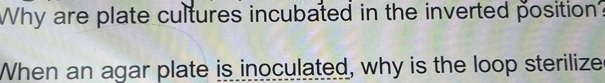 Solved Why are plate cultures incubated in the inverted | Chegg.com