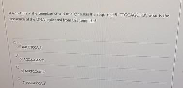 Solved Ma portion of the template strand of a gene has the Chegg com Solved Ma portion of the template strand of a gene has the Chegg com