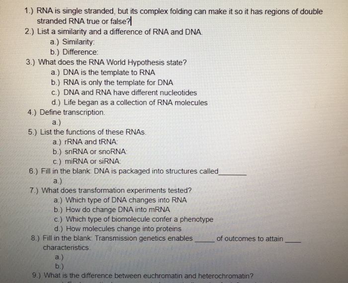 Solved 1 Rna Is Single Stranded But Its Complex Foldin Chegg Com