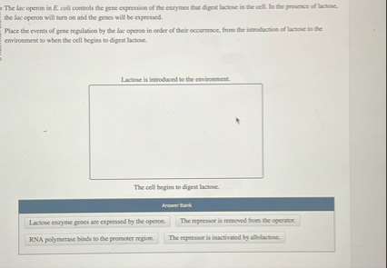 Solved The lac operon in E. ﻿coli controls be gene expresion | Chegg.com