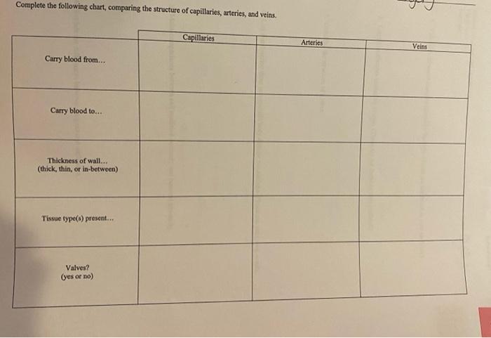 Complete The Following Chart Comparing The Structure Chegg Com