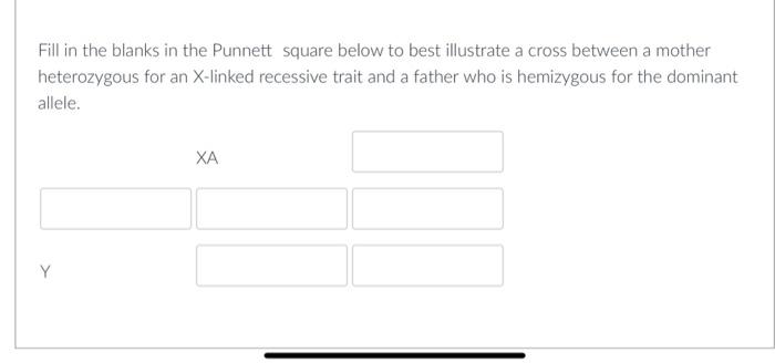 Solved Fill In The Blanks In The Punnett Square Below To | Chegg.com