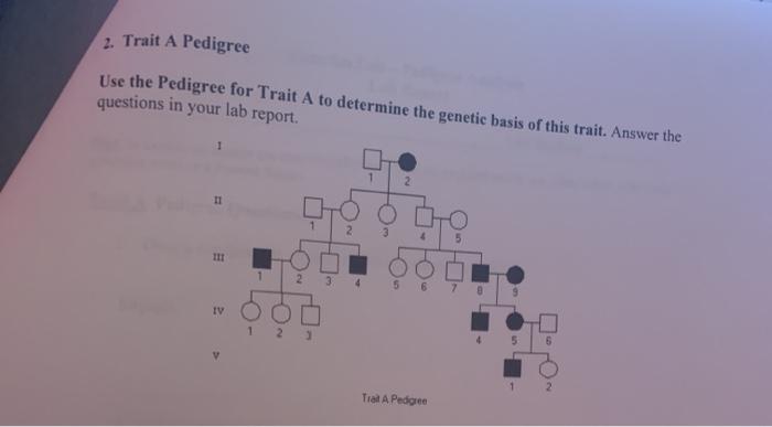 Solved 2. Trait A Pedigree Use the Pedigree for Trait A to | Chegg.com