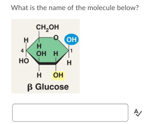 Solved What is the name of the molecule below? Н CH OH о Н | Chegg.com
