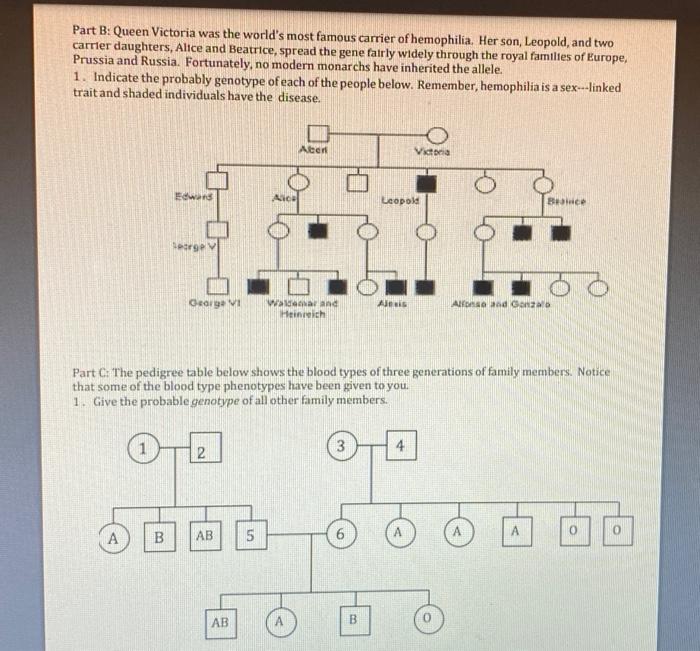 Solved Pedigree Assignment Remember the following when | Chegg.com