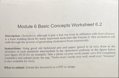 Solved Module 6 ﻿Basic Concepts Worksheet 6.2Description: | Chegg.com