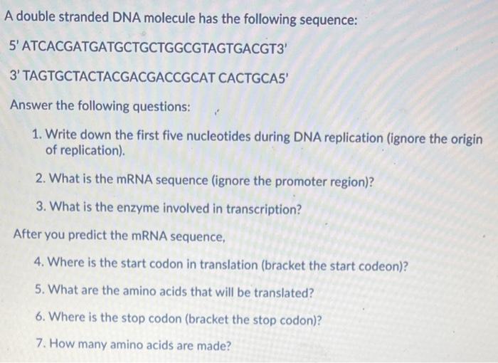 Solved A double stranded DNA molecule has the following | Chegg.com