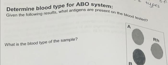 solved-determine-blood-type-for-abo-system-given-the-fo