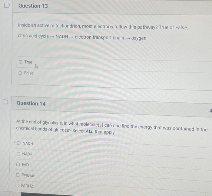 Solved D Question 13 Inside an active mitochondrion, most | Chegg.com