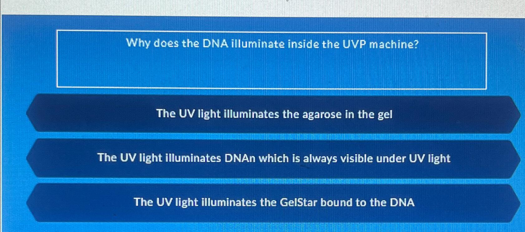 Solved Why does the DNA illuminate inside the UVP | Chegg.com