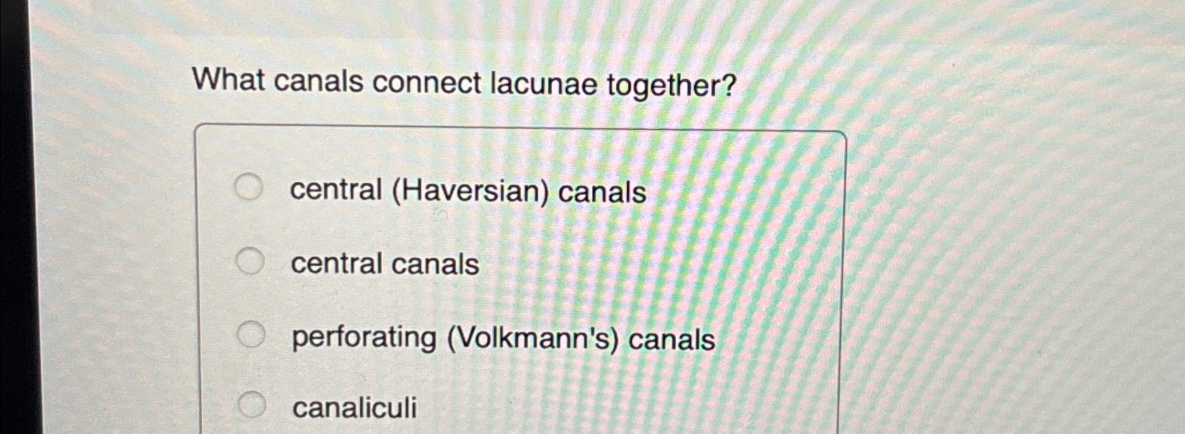 Which Canals Connect Lacunae Together-Skeletal Structure Explained