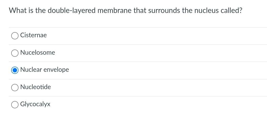 Which Of The Following Statements About Cells Is True Solved Which of the following statements about prokaryotic | Chegg.com