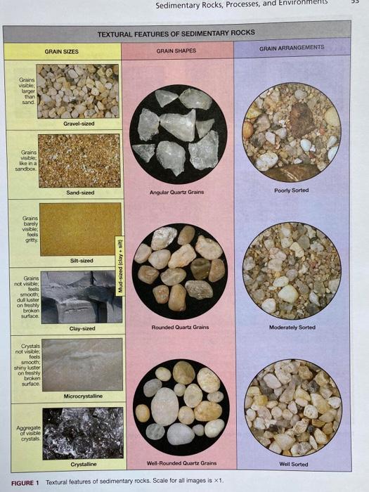 Solved 4 Sedimentary Rocks, Processes, and Environments | Chegg.com