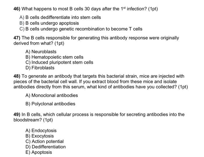 Solved 46) What Happens To Most B Cells 30 Days After The | Chegg.com