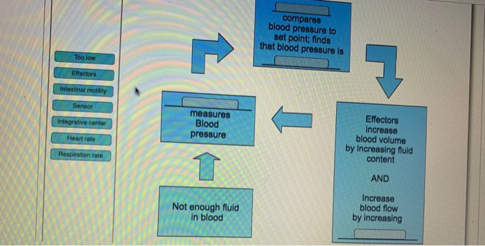 blood pressure too low