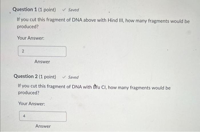 Solved Researchers often use enzymes that cut DNA at | Chegg.com