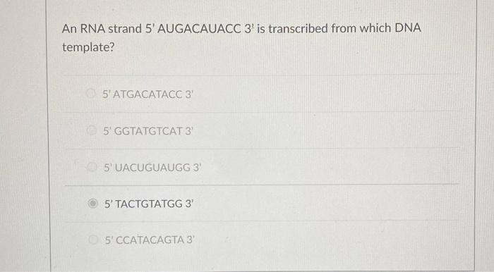 Solved An RNA strand 5' AUGACAUACC 3′ is transcribed from | Chegg.com