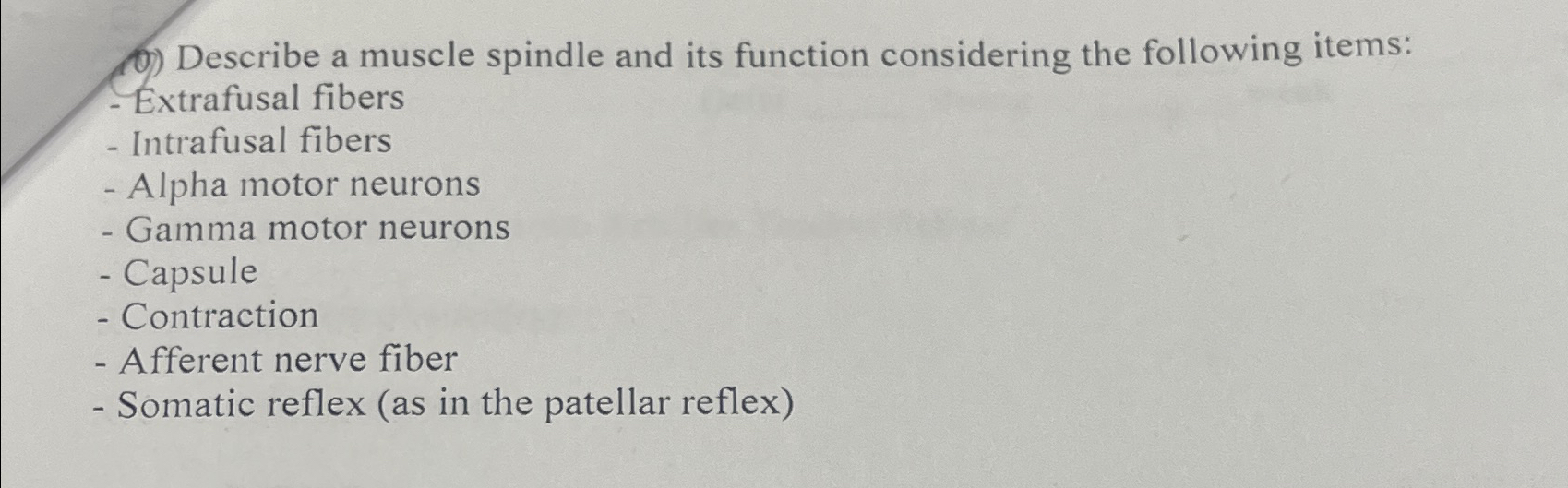 Solved Describe a muscle spindle and its function | Chegg.com