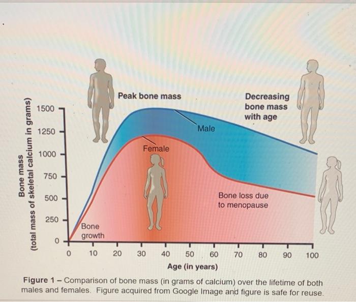 Solved question using this graph from age 10 to 20 what is