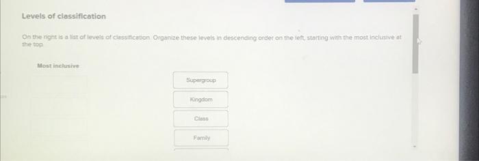 Solved Levels of classification On the night is a list at | Chegg.com