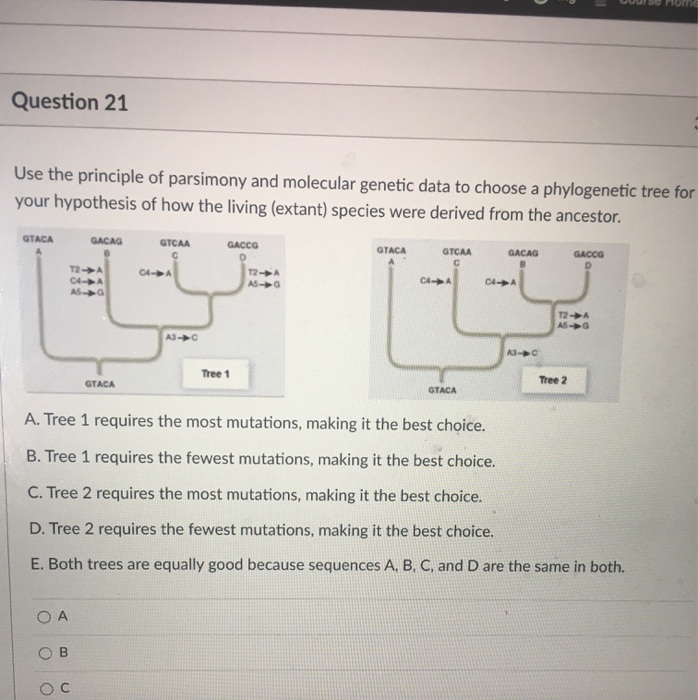 solved-question-16-why-is-the-concept-of-parsimony-important-chegg