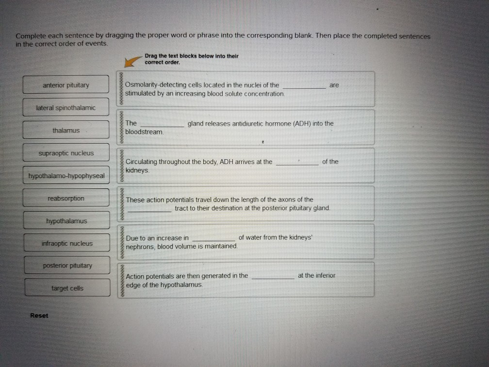 Solved Complete Each Sentence By Dragging The Proper Word Or | Chegg.com