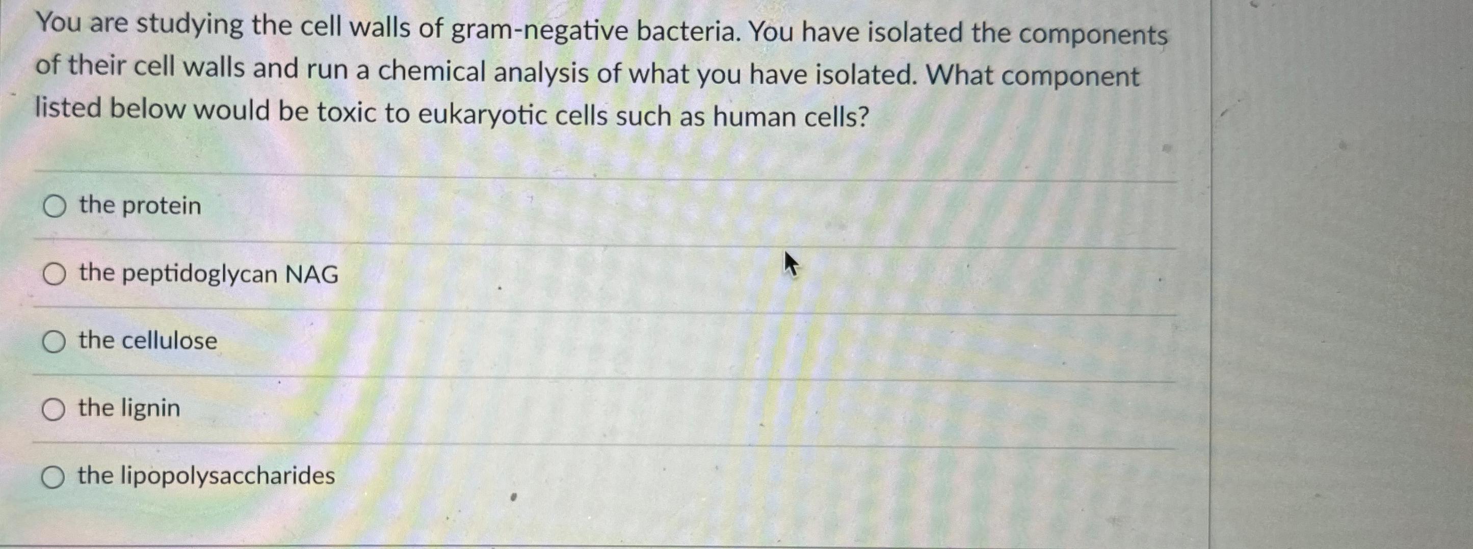 Solved You are studying the cell walls of gram-negative | Chegg.com