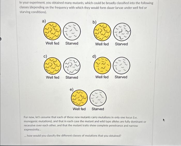Solved In your experiment, you obtained many mutants, which | Chegg.com