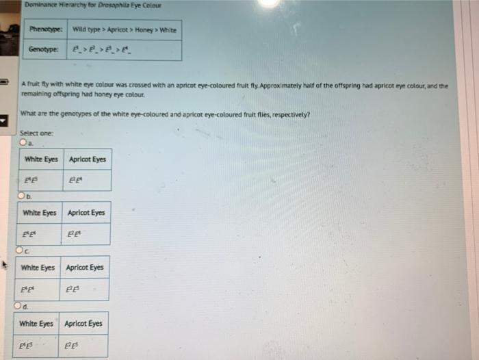Solved Dominance Hierarchy for Drosophila Eye Colour