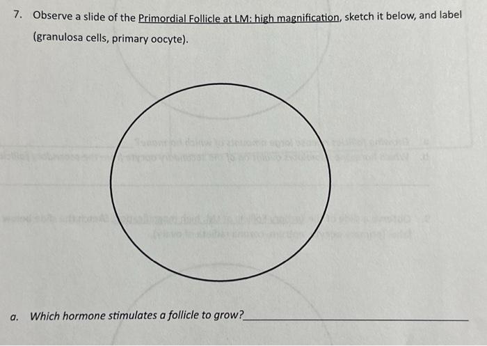 student submitted image, transcription available below