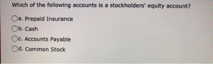 Solved Which Of The Following Accounts Is A Stockholders� | Chegg.com Solved Which Of The Following Accounts Is A Stockholders� | Chegg.com