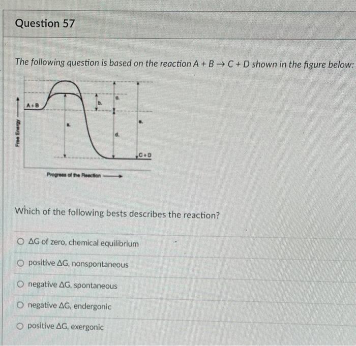 Solved Question 57 The following question is based on the | Chegg.com