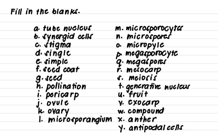 Solved Fill In The Blanks A Tube Nucleus M Microsporocy Chegg Com
