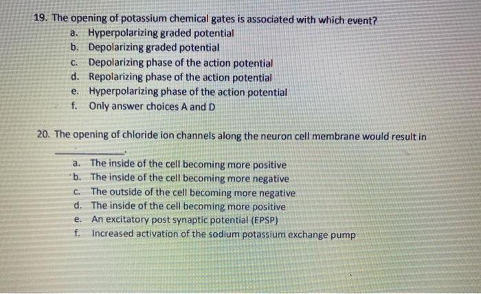 15 Multiple Sclerosis Is A Disease That Destroys The Chegg 