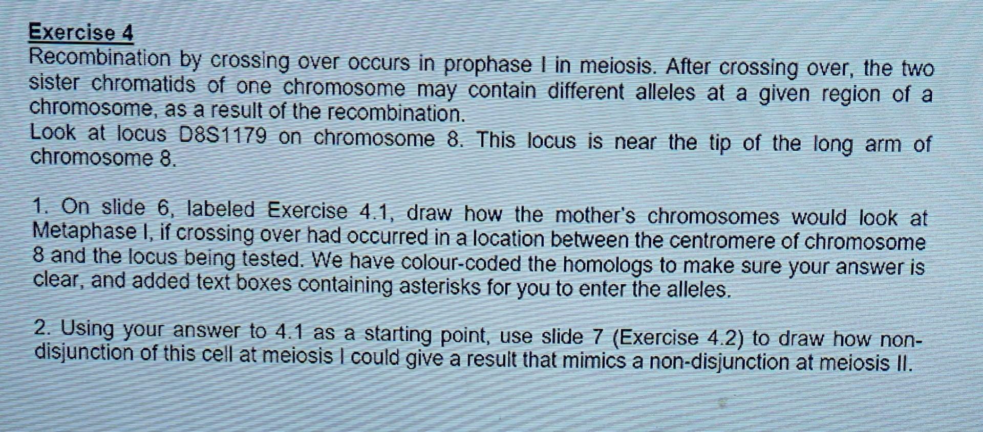 Exercise 4 Recombination By Crossing Over Occurs In | Chegg.com