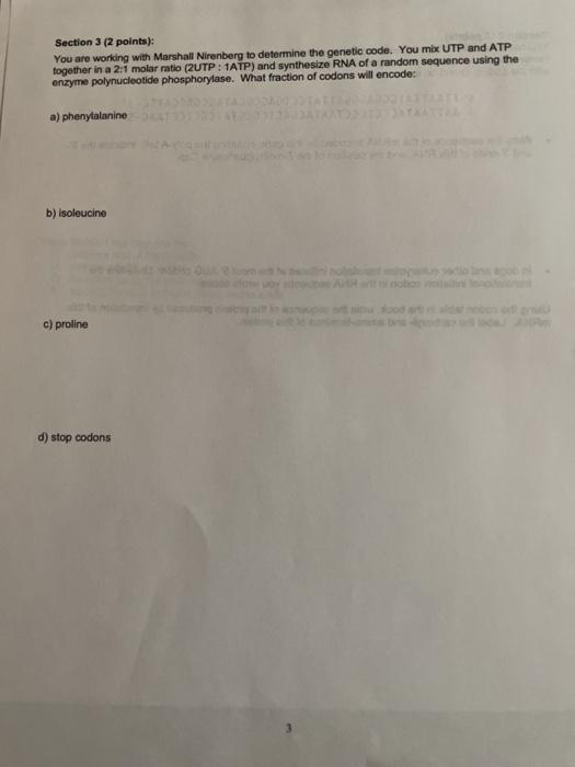 Solved Section 1: Multiple choice (0.25 point each/1 points | Chegg.com